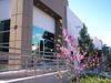 4115 Guardian St photo